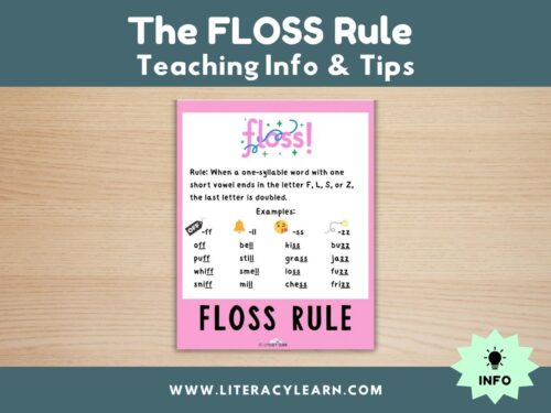 Graphic titled, "The Floss Rule: Teaching Info & Tips."