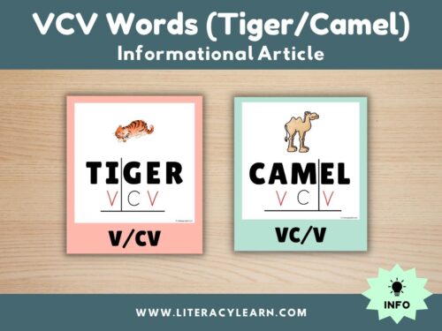 Cover for tiger and camel words.