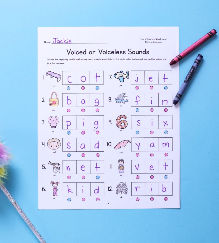 Graphic showing voiced and voiceless phoneme isolation worksheet,