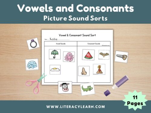 Cover for vowels and consonant picture sound sorts.