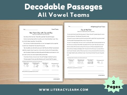 Decodable Passages - All Vowel Teams