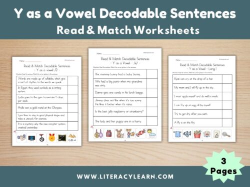 Cover showing Y as a vowel decodable worksheets.