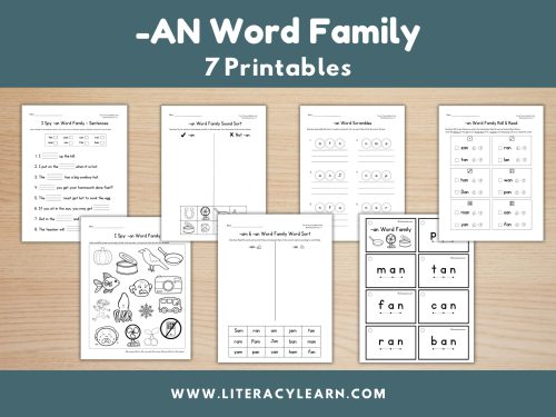 '-An Word Family Worksheets: 7 FREE Printables!