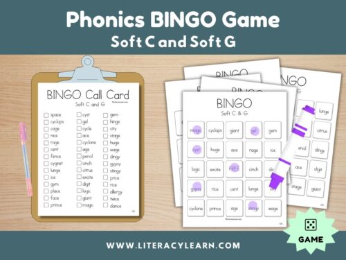 Cover showing Bingo game for soft c and g words.