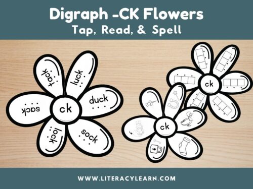 Graphic titled, "Digraph -ck Flowers: Tap, Read, and Spell."