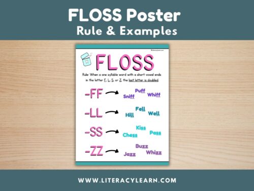 FLOSS Rule Poster