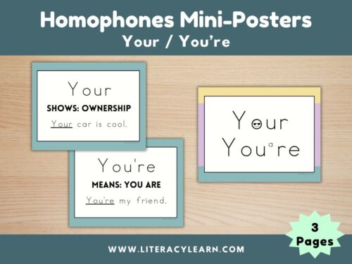 Graphic titled, "Homophones Mini-Posters: Your/You're."