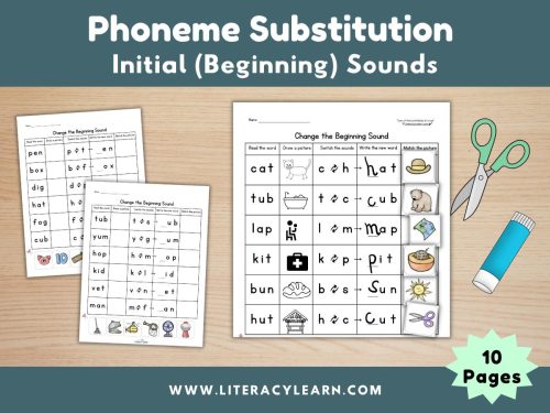 Phoneme Substitution Worksheets: Initial Sounds