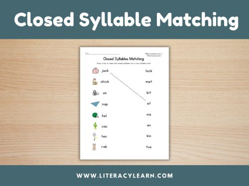 Closed Syllable Matching Worksheet