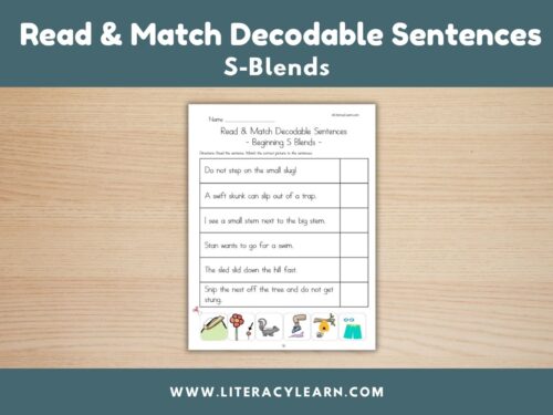 Cover photo for S-blend sentence read and match.