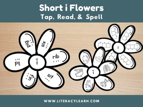 Graphic titled, "Short i Flowers: Tap, Read, and Spell."