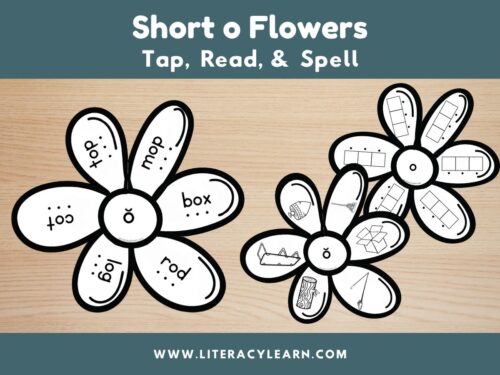 Graphic titled, "Short o Flowers: Tap, Read, and Spell."