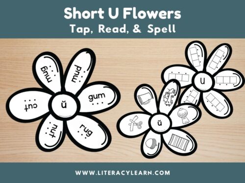 Graphic titled, "Short u Flowers: Tap, Read, and Spell."