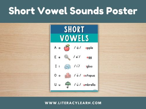 Phonics Posters: Short Vowel Sounds