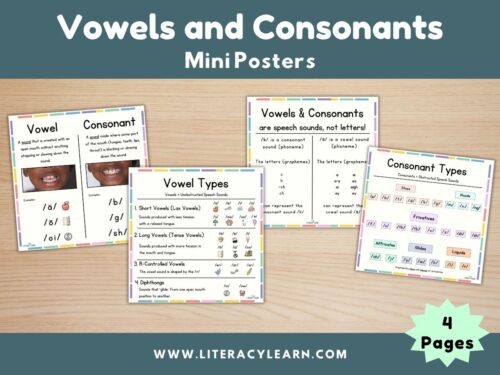 Cover photo for vowels and consonants mini-posters.