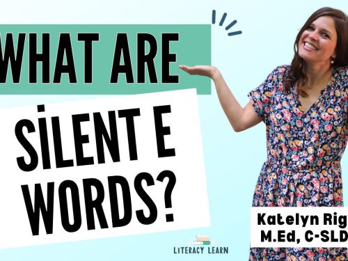 What Are Silent E Words? (VCe Words)