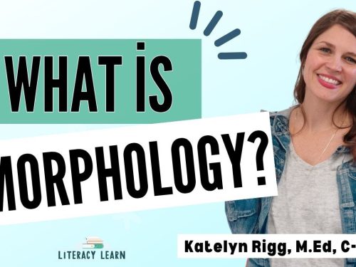 What Is Morphology?