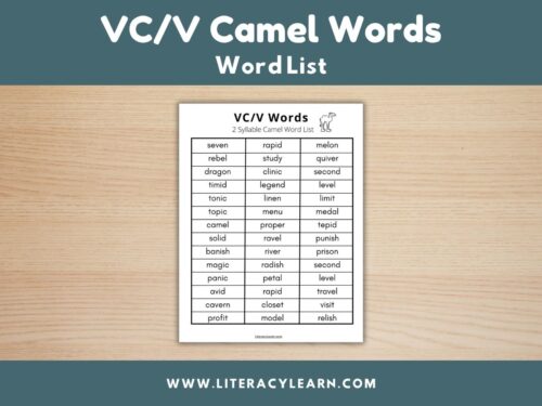 Cover image showing the vc/v camel word list.