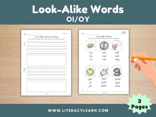 Look Alike Words: Diphthongs OI/OY