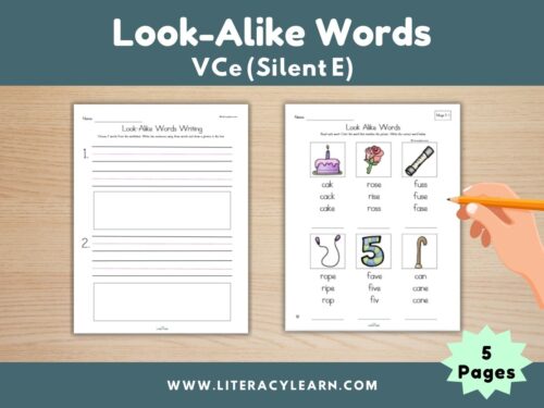 Look Alike Words: VCe (Silent E)