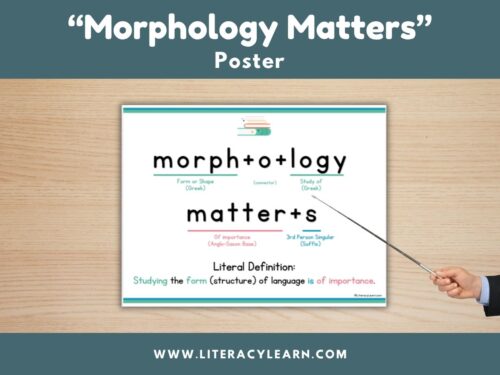 Graphic showing the poster for "morphology matters" with word sum.