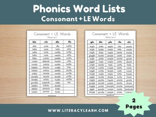 Cover image for consonant-le words.