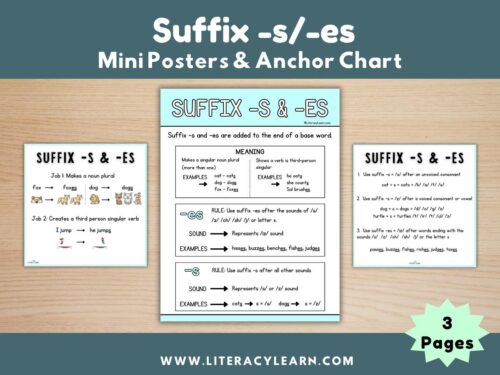 Graphic for suffix -s/es anchor chart.