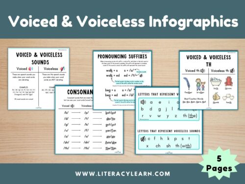 Voiced and Voiceless Infographics