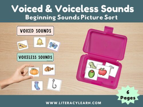 Voiced & Voiceless Picture Sort (Beginning Sounds)