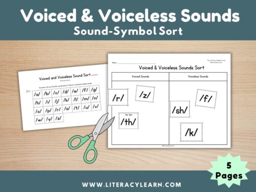 Cover showing sound-symbol sort for voiced/voicless sounds.