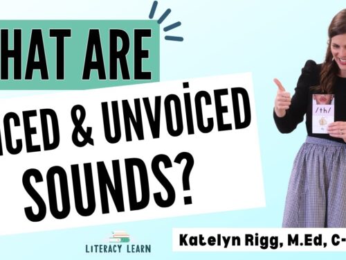 Youtube cover photo titled, "What Are Voiced & Voiceless Sounds?"
