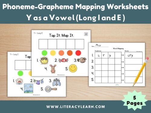 Graphic showing word mapping worksheet for y as a vowel words.