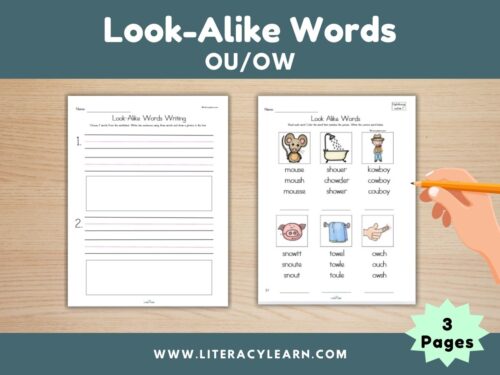 Look Alike Words: Diphthongs OU/OW