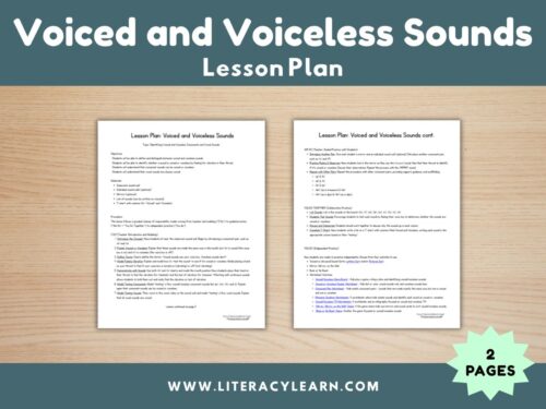Graphic showing lesson plan for voiced and voiceless sounds.