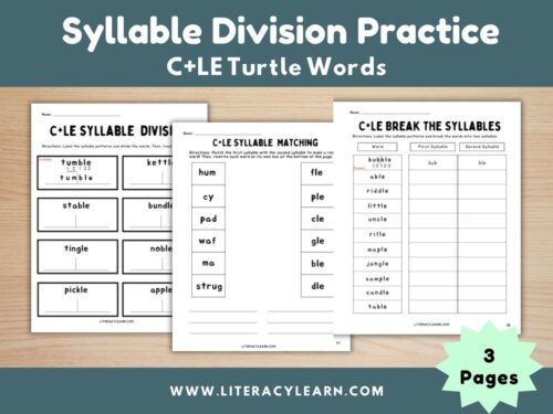 Cover showing the 3 syllable division worksheets for turtle words.
