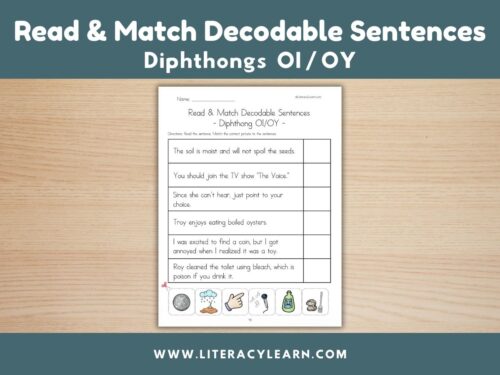 Graphic titled, "Decodable Sentences, diphthong oi/oy."