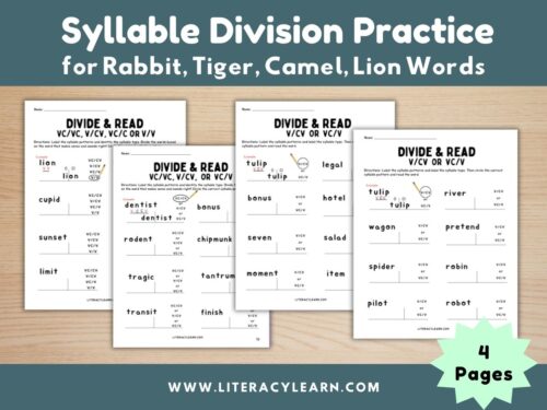 Cover for the four divide and read syllable division worksheets.