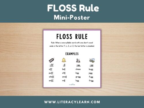 Cover showing the FLOSS rule mini-poster
