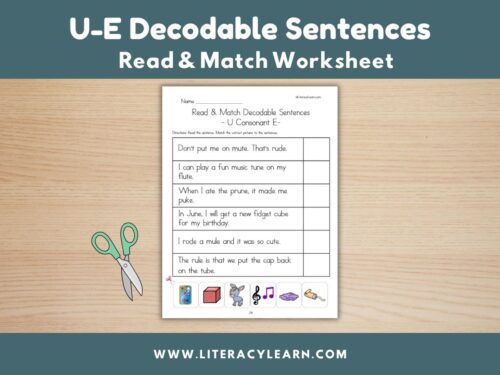 Cover image for decodable sentences for U-E words.