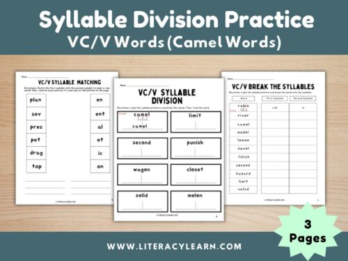 Syllable Division Practice: VC/V Words (Camel)
