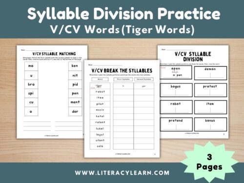 Syllable Division Practice: V/CV Words (Tiger)