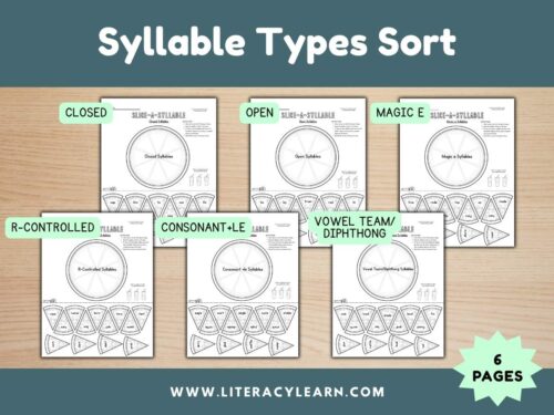 Syllable Types Sort (Pizza Theme)