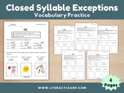 Closed Syllable Exceptions Vocabulary Practice