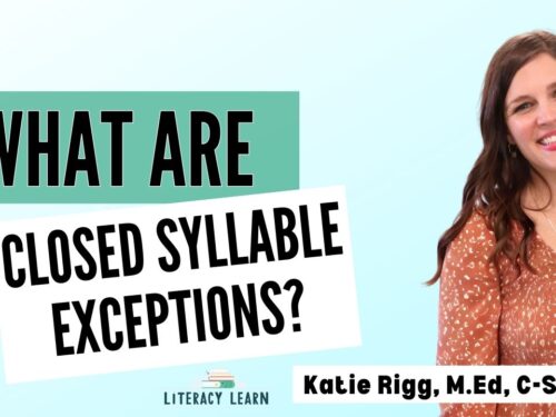 Cover photo showing closed syllable exceptions graphic.