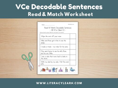 Cover image for decodable sentences for U-E words.