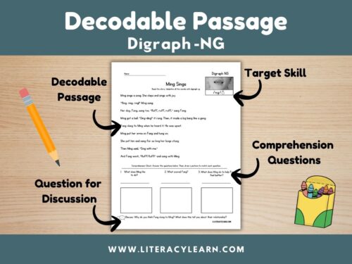 Cover showing digraph -ng decodable story.