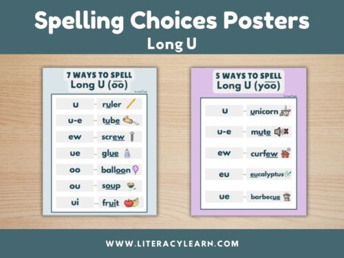 Cover showing Long U Spelling Choices poster.