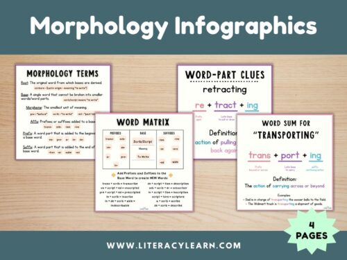 Graphic showing the morphology inforgraphics.