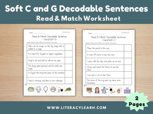 Cover image for decodable sentences for soft C and soft g words.