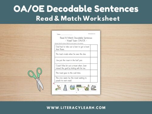 Cover image for decodable sentences for oa and oe words.